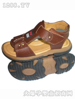 ��؈֮����ɫЬ