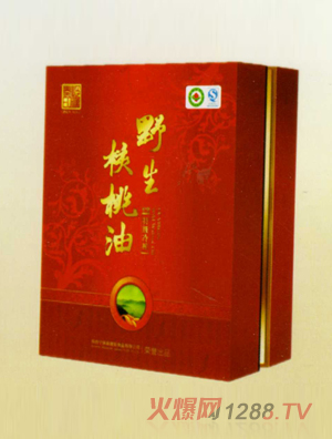 ���t�������ӳ�������