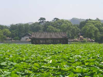 �{ɫ���Z�냺�˜�PP��ƿ120cc2ֻ�b