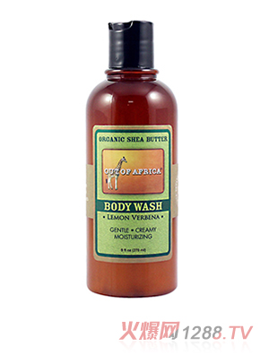 ��ľ����ԡ¶ �����R�޲�