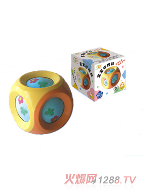 小若曦蜂蜜菊花清清寶