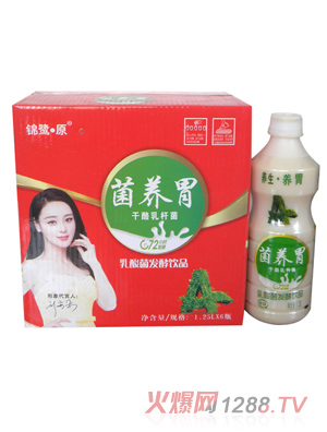 �y�� ԭ���B(y��ng)θ ���b