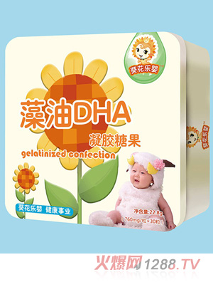 �w�������������DHA�F��