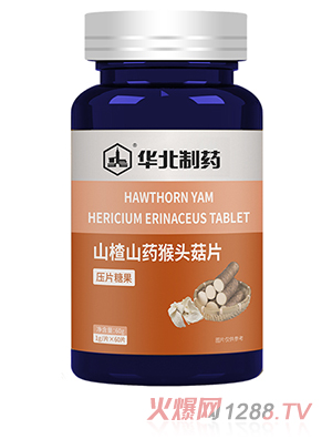 �A����ˎɽ�ɽˎ���^��Ƭ