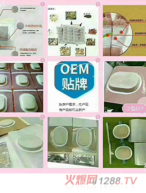 ɳ����͸Ƥ�NOEM�N��