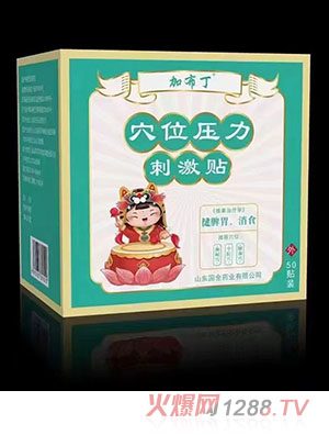 �Ӳ���Ѩλ�����̼��N ��Ƣθ����ʳ