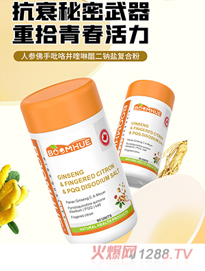 BOOMHUE�����˅�������������������c�}�ͺϷ�