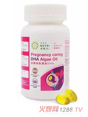 ׿�I���ЋD����DHA