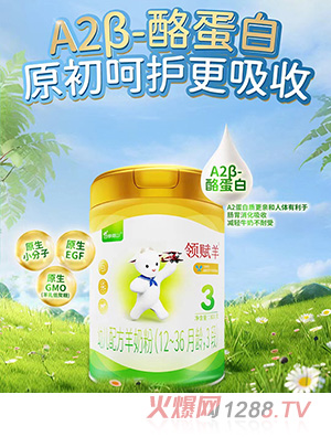 領(lǐng)賦羊youe配方羊奶粉(12-36月齡，3段)